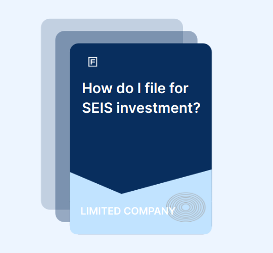 How do I file for SEIS investment? guide